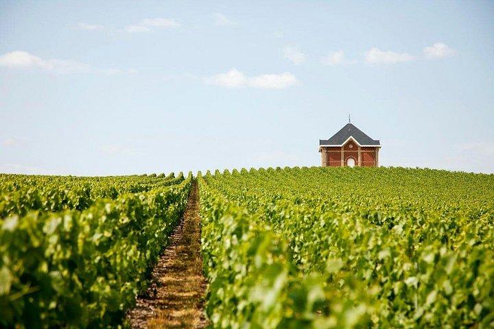 Visite privée de 10 heures aux vignobles de Champagne au départ de Paris
