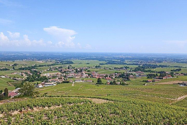 Visite guidée Journée Beaujolais - Visites caves et dégustations