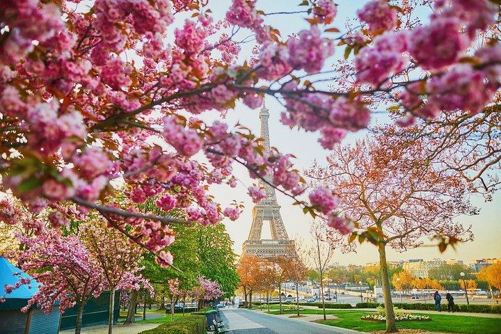 Visite privée d'une demi-journée de Paris avec un local