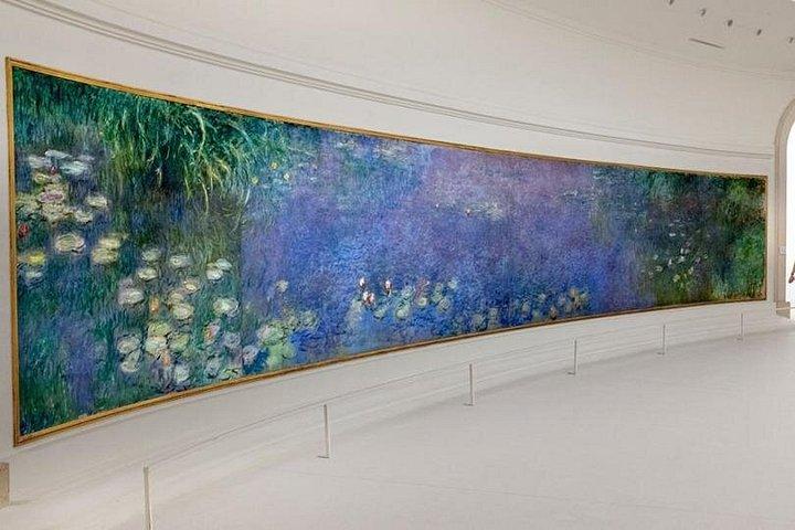 Visite guidée privée d'une heure et demie du musée de l'Orangerie à Paris