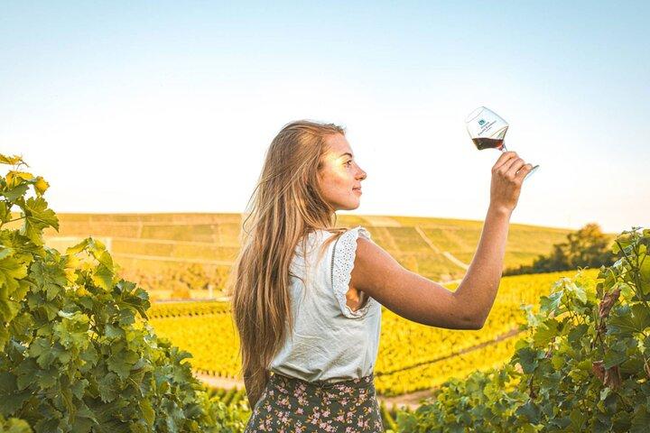 Sancerre Private Wine Day de Paris avec 10 dégustations et déjeuner