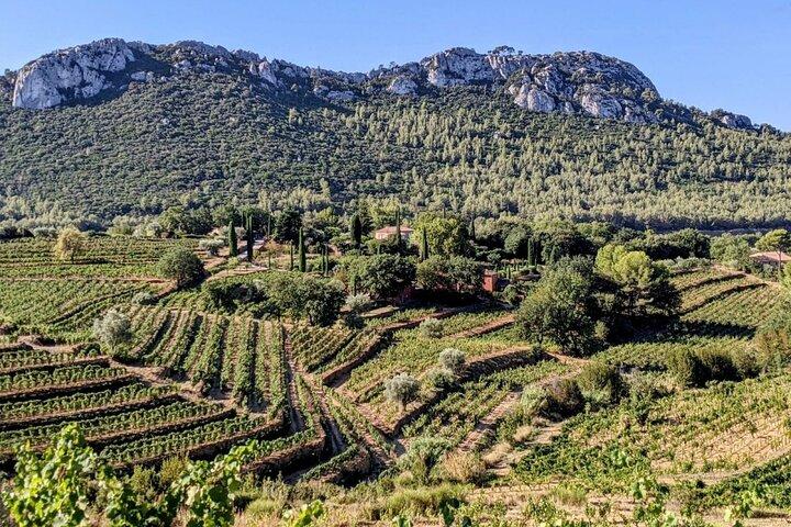 Bandol Wine Trip depuis Toulon & les Ports