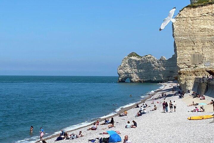 Normandy Honfleur, Etretat Cliffs Visite guidée privée en direct