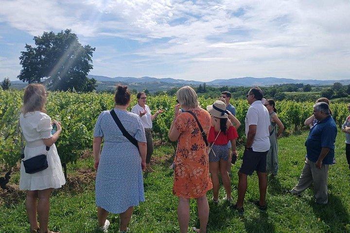 Excursion privée d'une demi-journée aux pierres dorées du Beaujolais avec dégustations