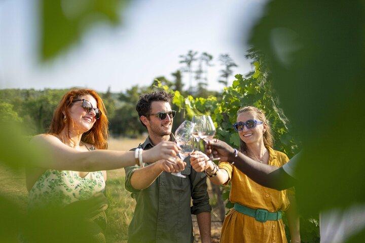 Provence Wine Tour - Excursion privée d'une journée au départ d'Antibes