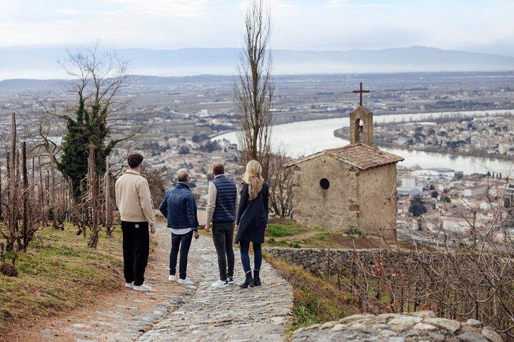 Excursion d'une journée privée de dégustation de vins et chocolats dans la vallée du Rhône au départ de Lyon