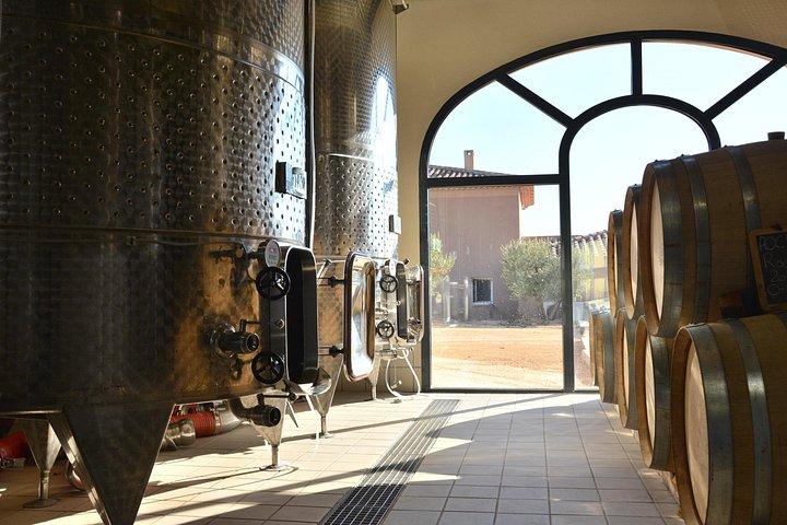 Visite et Dégustation des Vins en AOC Palette