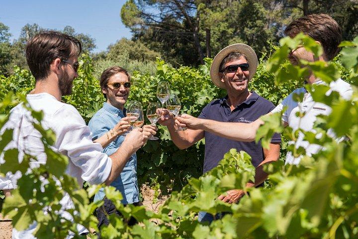Rosé & Côtes DE Provence Visite des vins au départ de Marseille