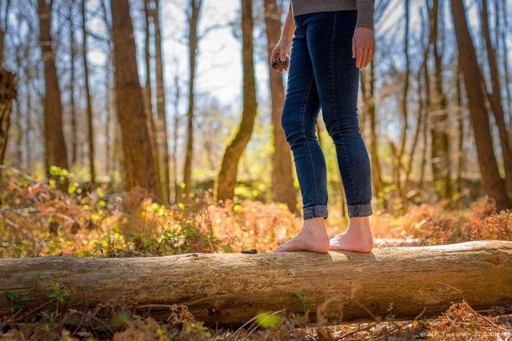 Sylvothérapie une immersion au cœur de la nature près de Tours
