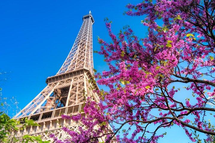 Visite guidée d'une demi-journée de Paris avec un local