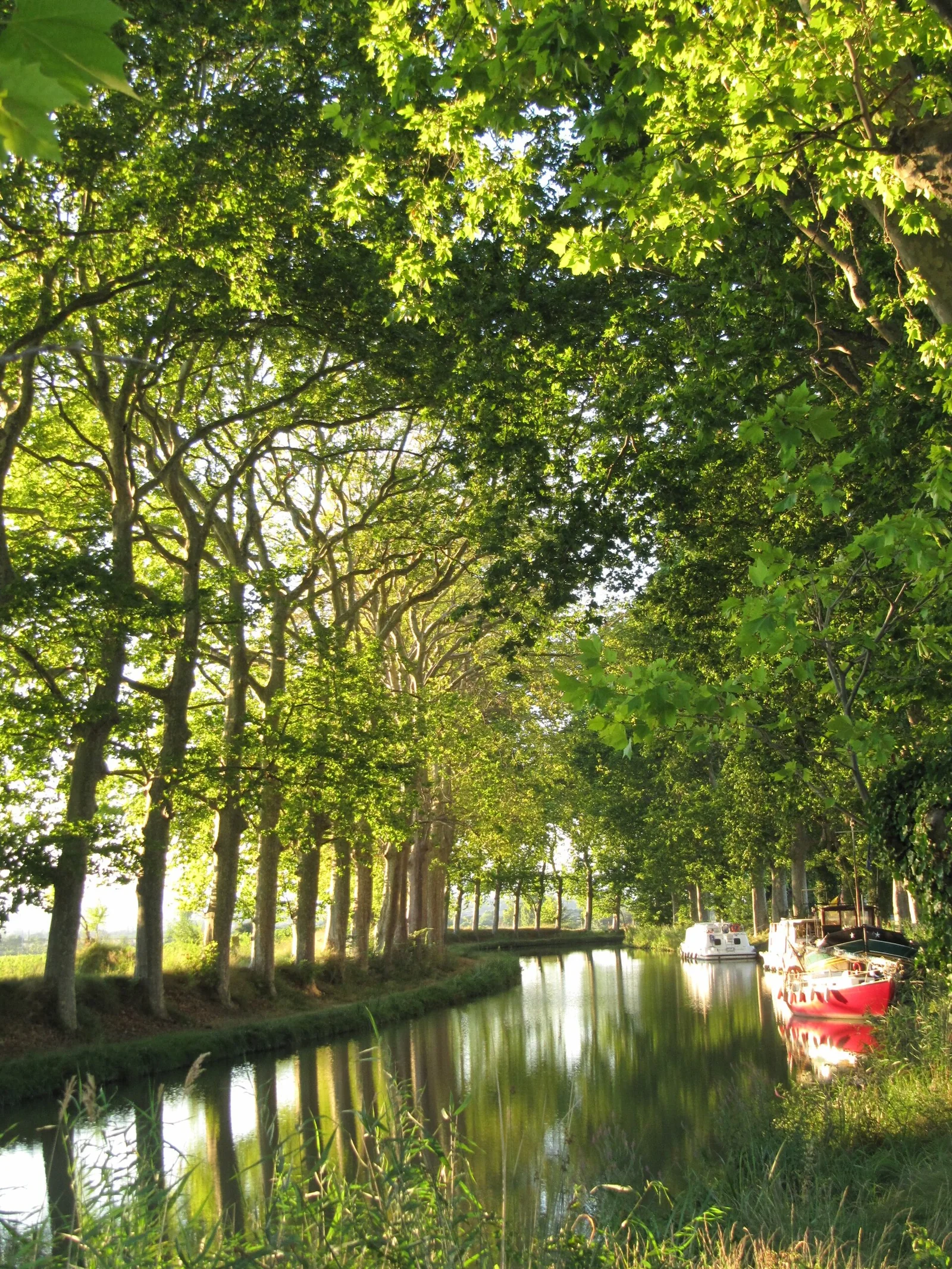 Canal du Midi (ambiance), à 150 km de l'hôtel (photo du lieu, pas de l'hôtel)