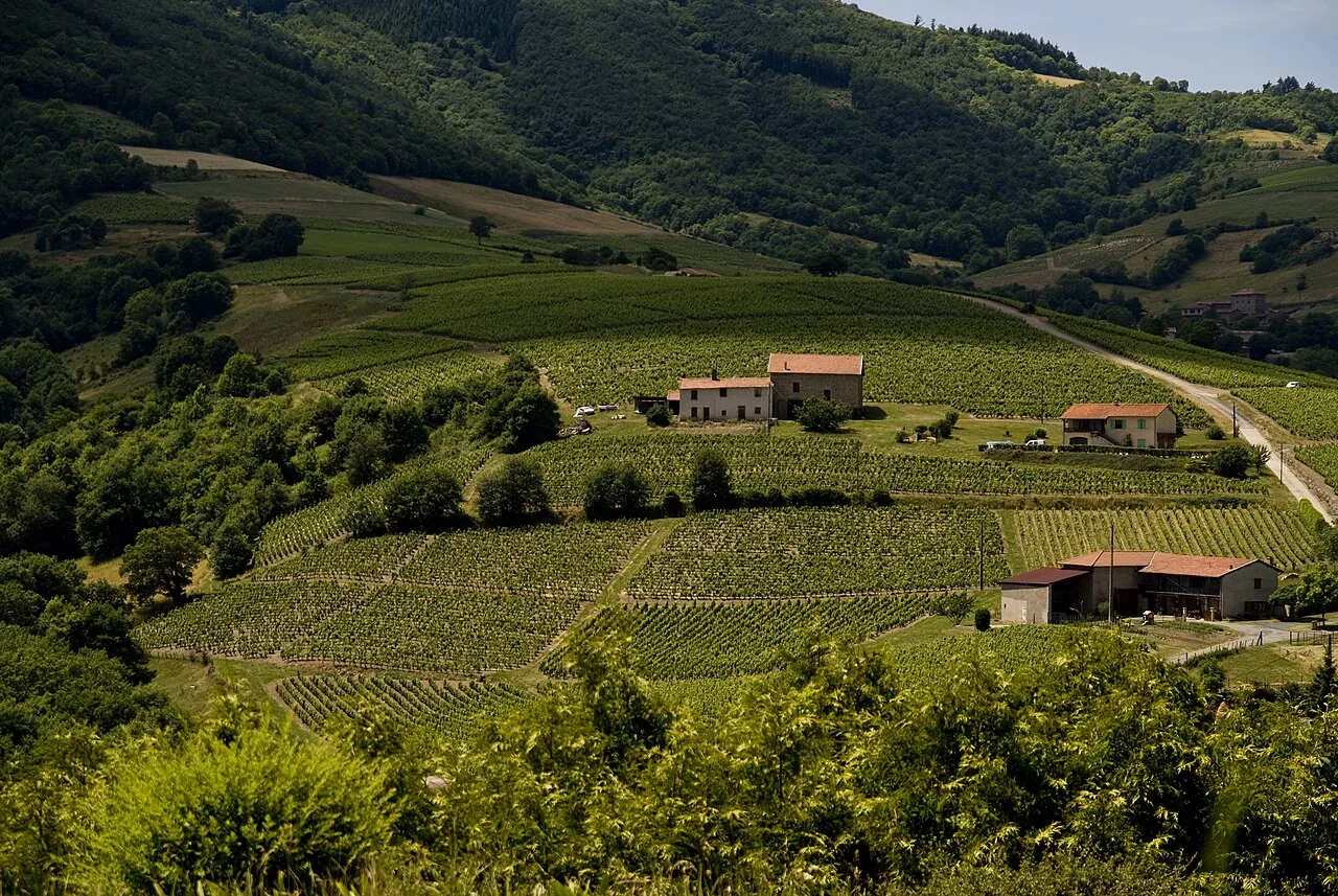 Beaujolais : demi-journée ou journée depuis Lyon