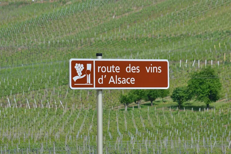 Route des vins d'Alsace : trois domaines