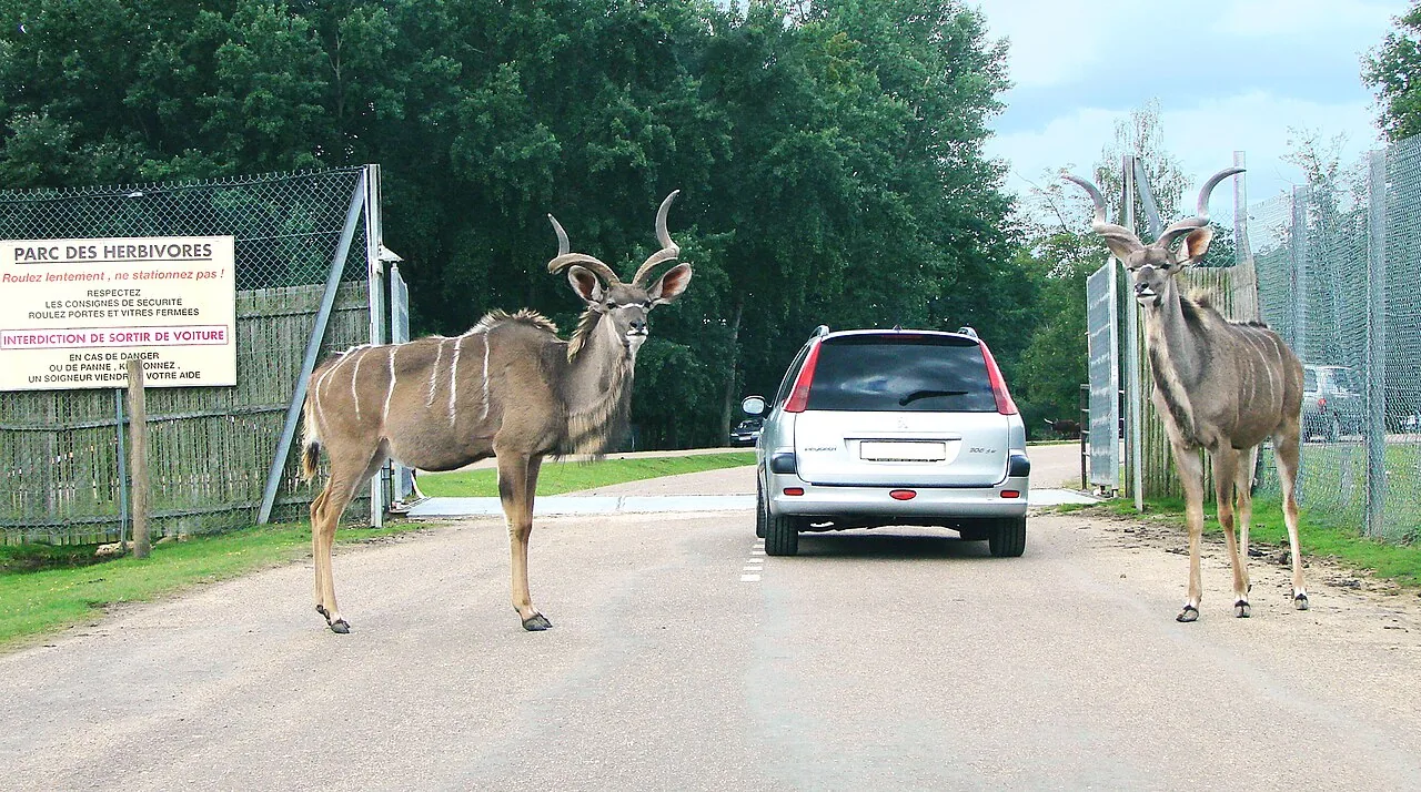 Zoo Safari de Thoiry